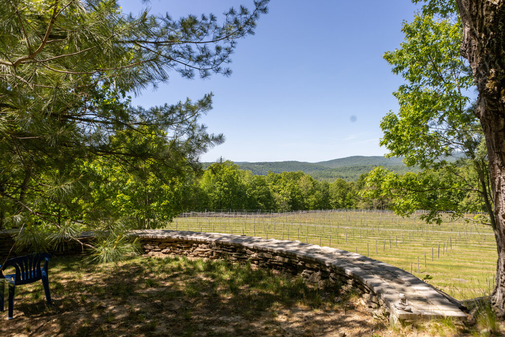 Endless Mountains Vineyards view